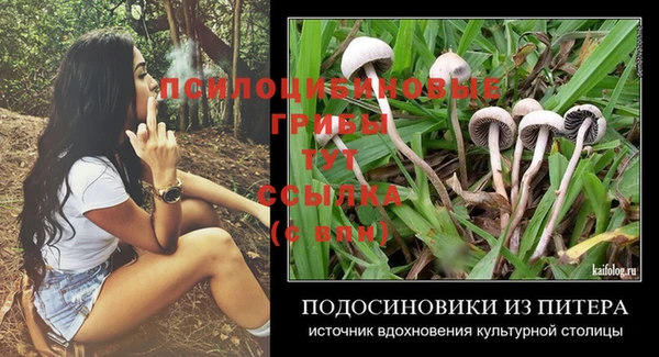 бошки Алексин