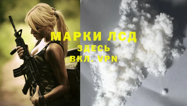 бошки Алексин