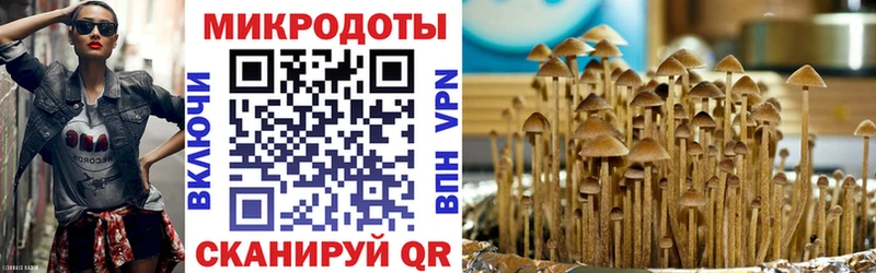 Галлюциногенные грибы Cubensis  блэк спрут ССЫЛКА  Сосновый Бор 